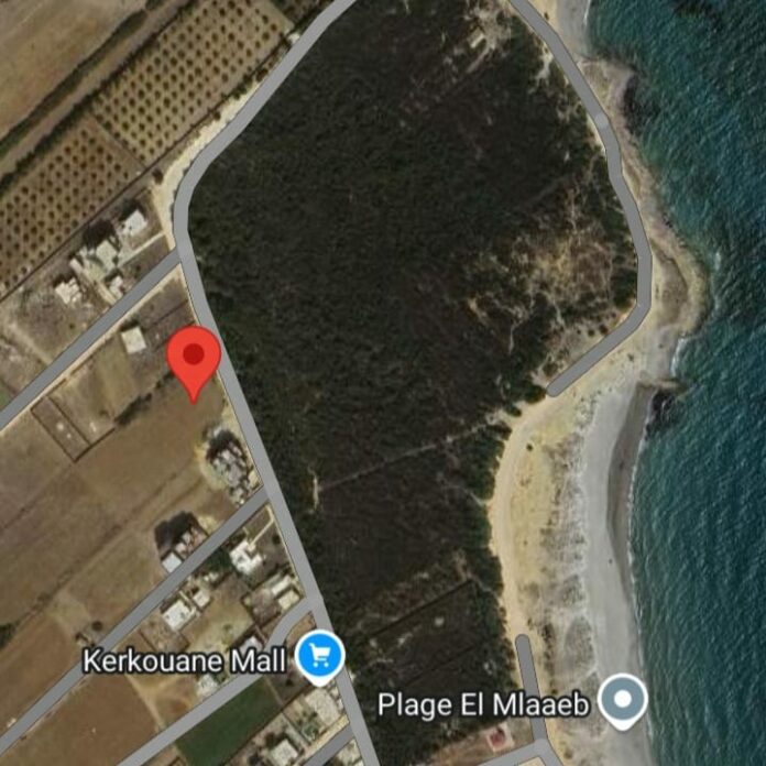 468092338_122112032264598890_1538895622282765648_n