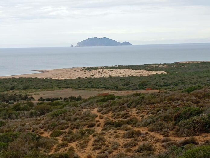 468401629_122113047122598890_3593566245436546970_n