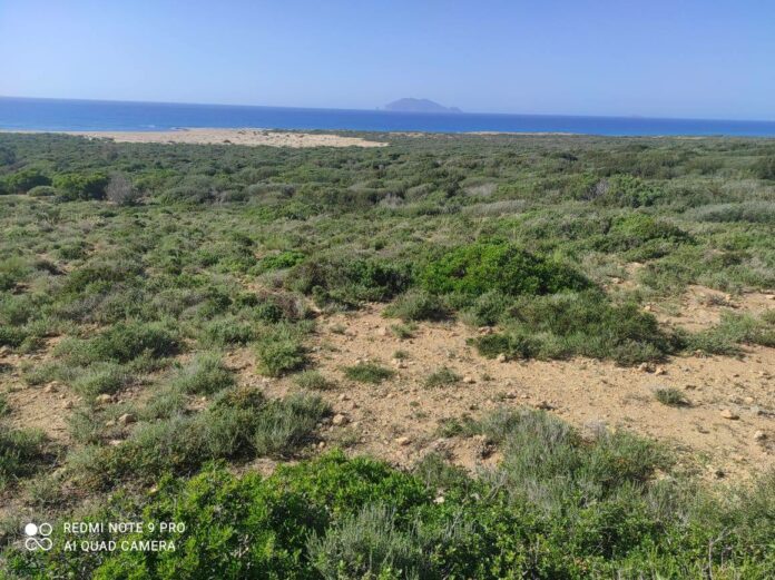 468955434_122113046786598890_212630511122898384_n